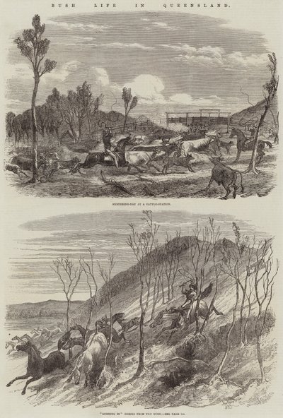 Bush Life in Queensland by Harrison William Weir