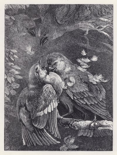 Fight between a Chaffinch and a Sparrow by Harrison William Weir