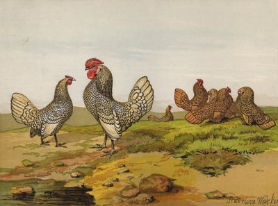 Gold and Silver Laced Bantams by Harrison William Weir