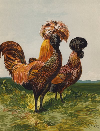 Golden-Spangled Polish by Harrison William Weir