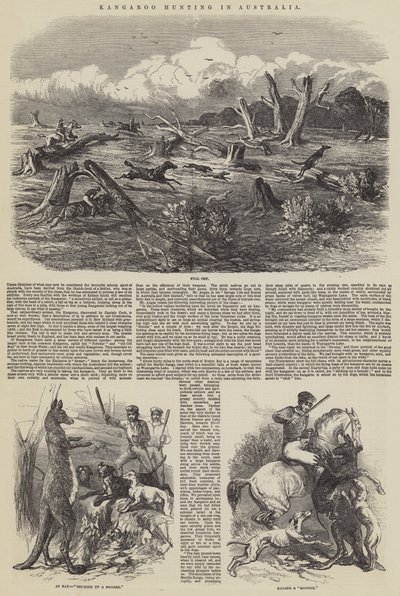 Kangaroo Hunting in Australia by Harrison William Weir