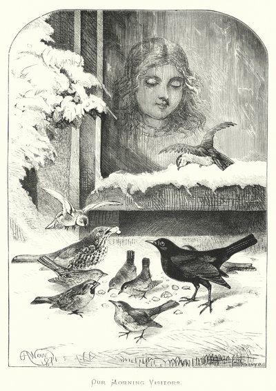 Our Morning Visitors by Harrison William Weir
