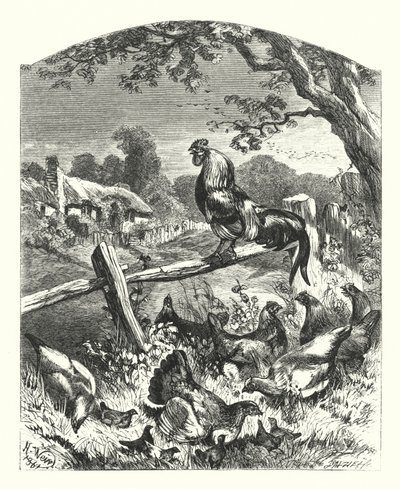 Praise of Country Life by Harrison William Weir