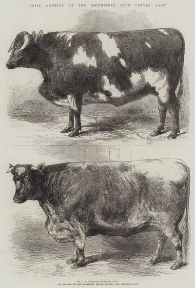 Prize Animals at the Smithfield Club Cattle Show by Harrison William Weir