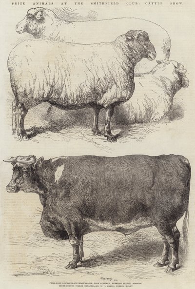 Prize Animals at the Smithfield Club Cattle Show by Harrison William Weir
