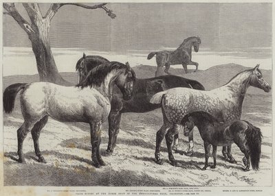 Prize Horses at the Horse Show in the Agricultural Hall, Islington by Harrison William Weir