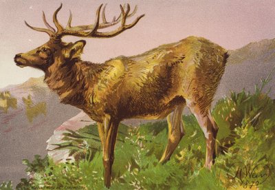 Startled Deer by Harrison William Weir