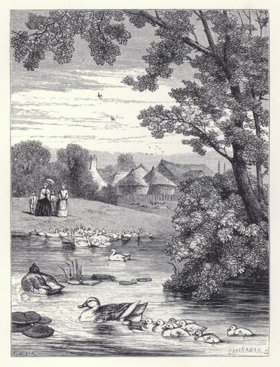 The Duck Pond by Harrison William Weir
