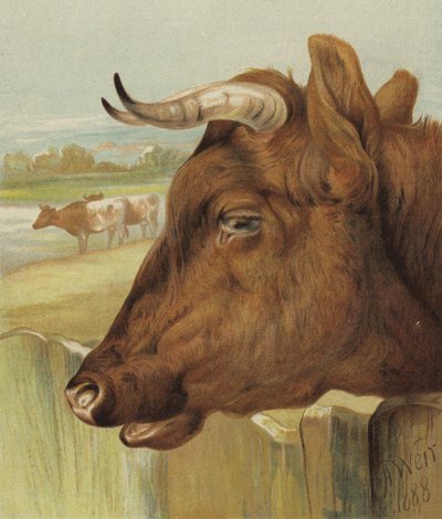 The Friend of the Nursery by Harrison William Weir