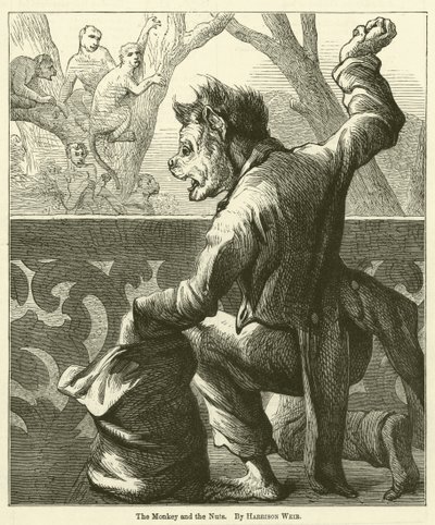 The Monkey and the Nuts by Harrison William Weir