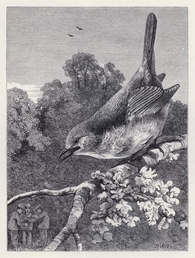 The Robin Watching the Boys with the Nest by Harrison William Weir