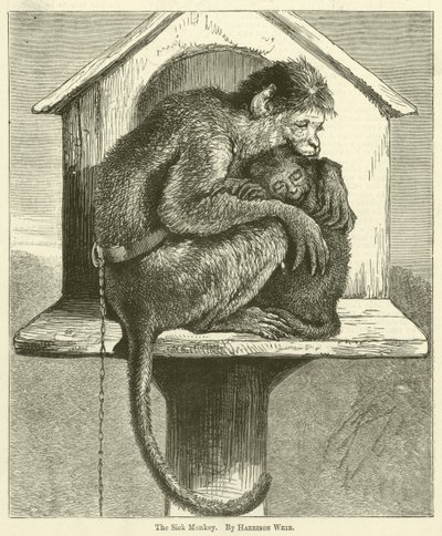 The Sick Monkey by Harrison William Weir