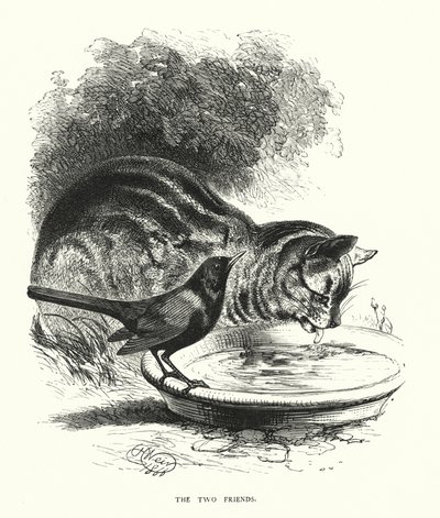The Two Friends (engraving) by Harrison William Weir