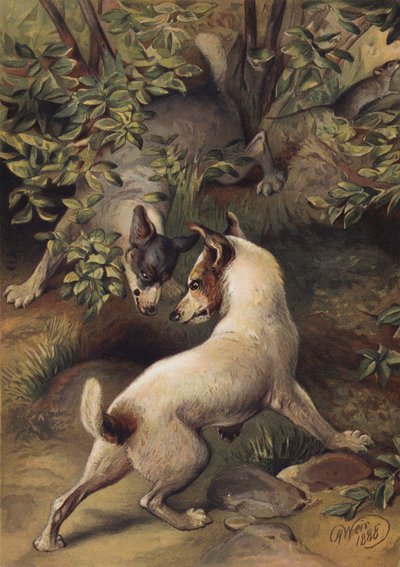 Two dogs trying to reach a pool of water to drink by Harrison William Weir