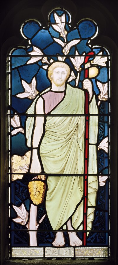 Caleb by Harry Ellis Wooldridge