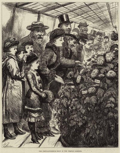 The Chrysanthemum Show in the Temple Gardens by Harry Furniss