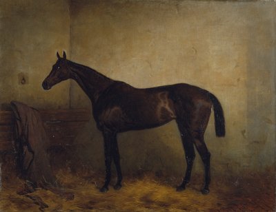 Chaplet, a bay race mare in a loosebox, c.1877 by Harry Hall
