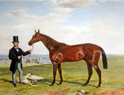 Portrait of a Racehorse with his Trainer by Harry Hall