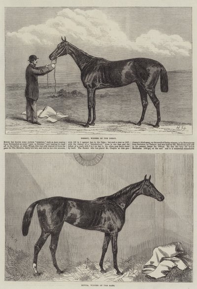 Racehorse by Harry Hall