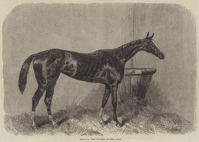 Regalia, the Winner of the Oaks by Harry Hall