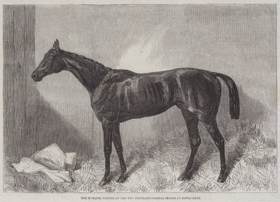 The Marquis, Winner of the Two Thousand Guineas Stakes at Newmarket by Harry Hall