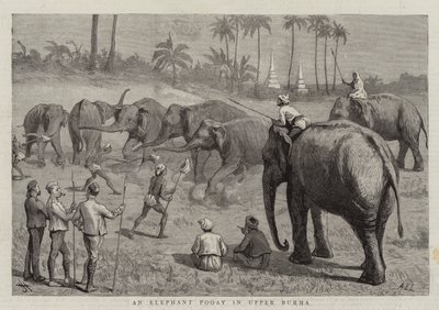 An Elephant Pooay in Upper Burma by Harry Hamilton Johnston
