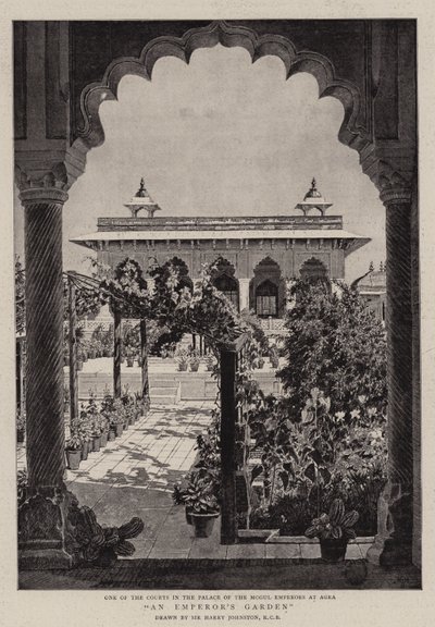 An Emperor