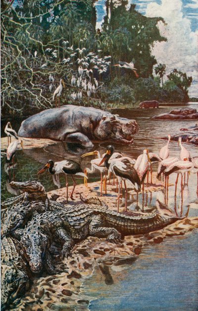The Gambia river, as described by Captain Jobson by Harry Hamilton Johnston