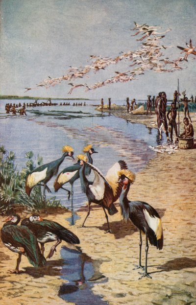 The Northern Shores of Lake Chad, as seen by Denham by Harry Hamilton Johnston