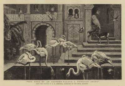 The Pets of an Eastern Palace, a Tunisian Study by Harry Hamilton Johnston