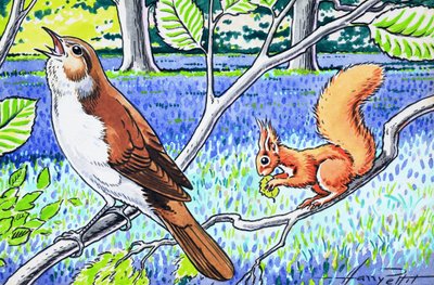 Little Red Squirrel by Harry M. Pettit