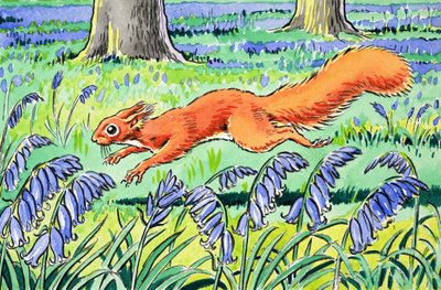 Little Red Squirrel by Harry M. Pettit