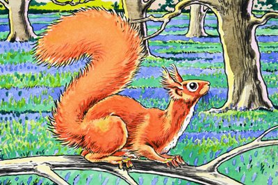 Little Red Squirrel by Harry M. Pettit