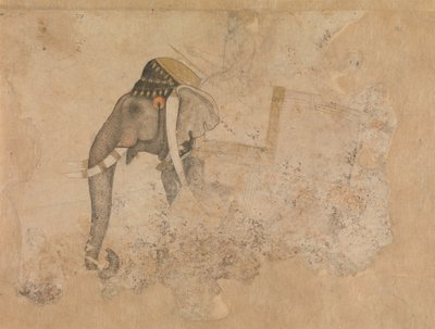 Elephant and Rider by Hashim.