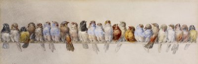 A Perch of Birds, c.1880 by Hector Giacomelli