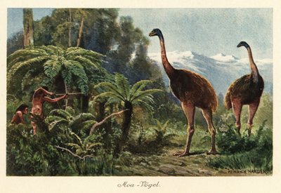 Moa Birds Being Hunted by Men with Bows and Arrows by Heinrich Harder