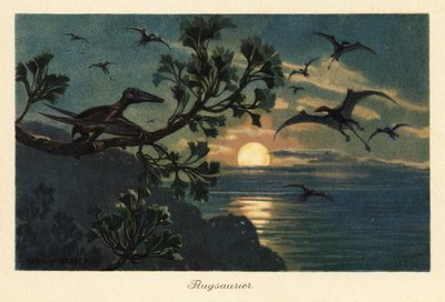Rhamphorhynchus Pterosaurs Flying in the Moonlight by Heinrich Harder