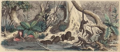 Riverbank in Guiana by Heinrich Leutemann