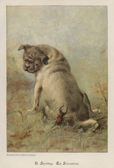 A Troublemaker by Heinrich Sperling