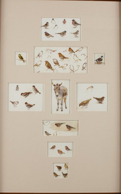 Sketches of a donkey and birds by Helen Allingham
