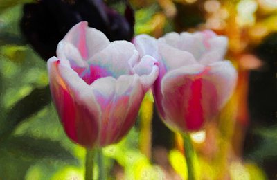 Lit Up Inside by Helen White