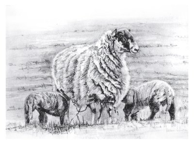 Proud, 2012 by Helen White