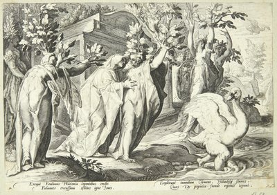 Phaeton