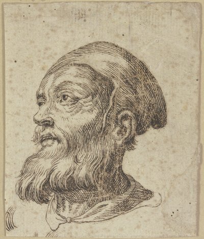 Head of an Old Man in Three-Quarter Profile to the Left by Hendrick Goltzius