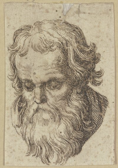 Head of a Bearded Man, Bent Forward by Hendrick Goltzius