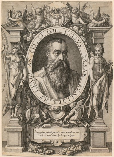 Portrait of Julius Caesar Scaliger by Hendrick Goltzius