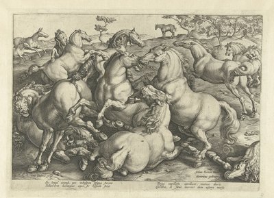Twelve Fighting Horses by Hendrick Goltzius