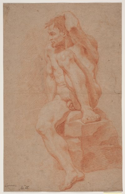 Male Model Study by Hendrik Krock