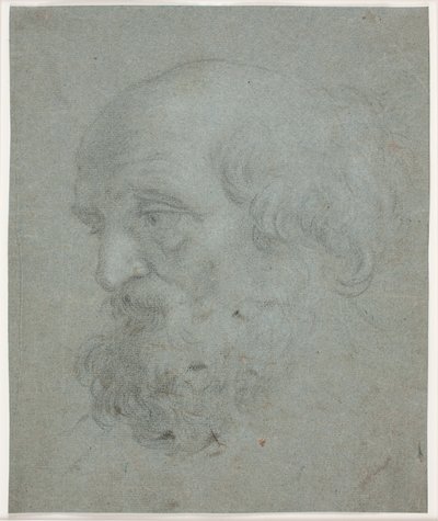Bearded Man