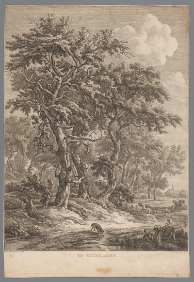 Landscape Near Zuidlaren (At Zuidlaren, Nine Views in Drenthe, IX Views in and Near the Landscape Drenthe) by Hendrik Schwegman